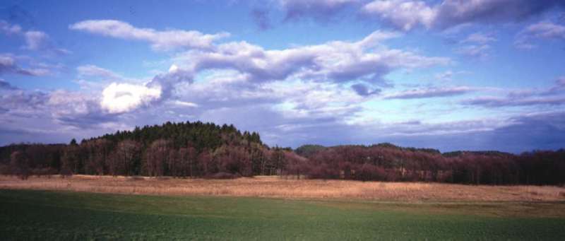 nach Münster